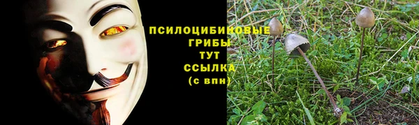 дмт Алексеевка